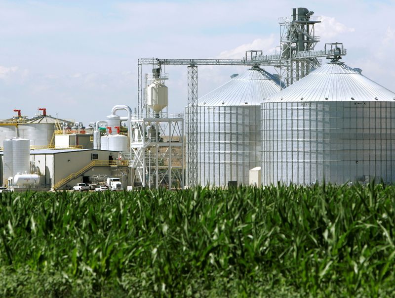 &copy; Reuters. Plantação de milho e produção de etanol em Windsor, Colorado 
 7/7/2006