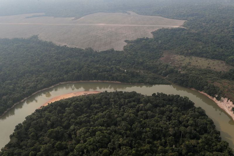 &copy; Reuters. IMAGEN DE ARCHIVO. Unvista aérea muestra un río y un sector deforestado de la Amazonía cerca de Porto Velho, en el estado de Rondonia, Brasil, Agosto 14, 2020. REUTERS/Ueslei Marcelino