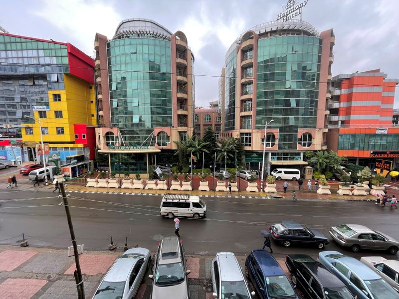 © Reuters. A general view shows activity past a closed Harmony Hotel and Kaleb hotel owned by a Tigrayan businessmen in Bole neighbourhood in Addis Ababa, Ethiopia July 15, 2021. REUTERS/Tiksa Negeri