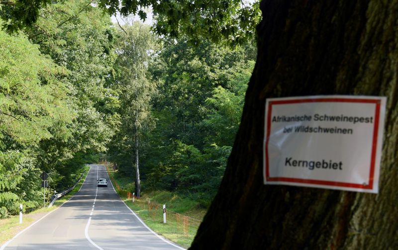 &copy; Reuters. Uma nota dizendo "Peste suína africana em porcos selvagens, área principal" perto de Gross Drewitz, Spree-Neisse, Alemanha,
12/09/2020
REUTERS/Annegret Hilse/Foto de arquivo