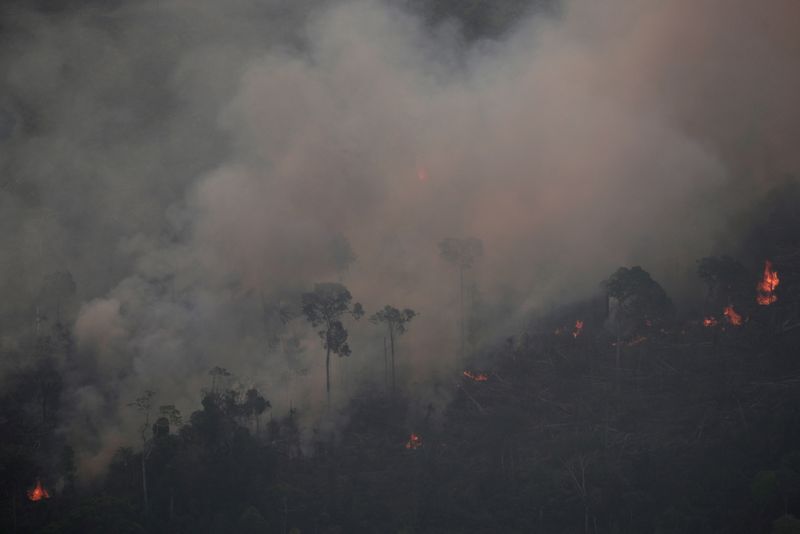 &copy; Reuters. Fogo na floresta amazônica perto de Porto Velho, Rondônia
 21/8/2019 REUTERS/Ueslei Marcelino