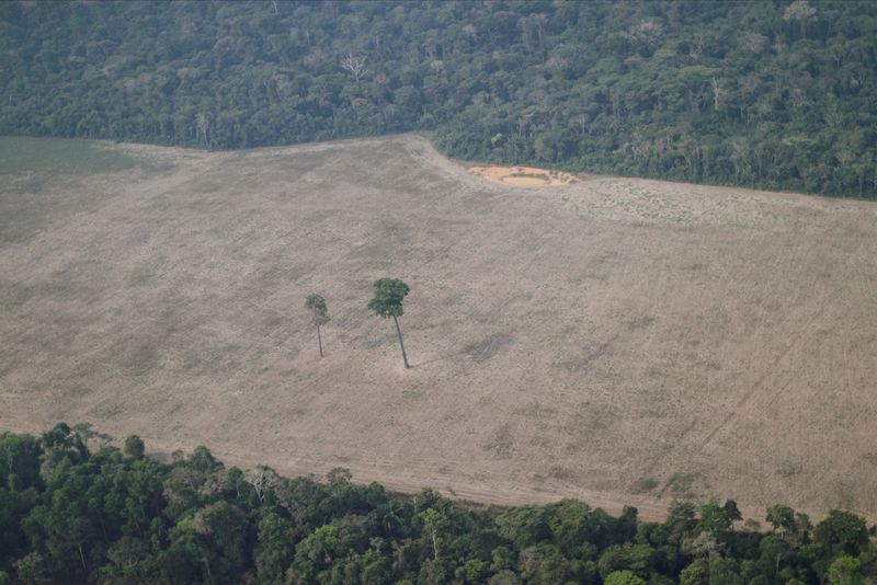 &copy; Reuters. Floresta desmatada em Porto Velho, Rondônia, Brasil.
14/08/2020 
REUTERS/Ueslei Marcelino