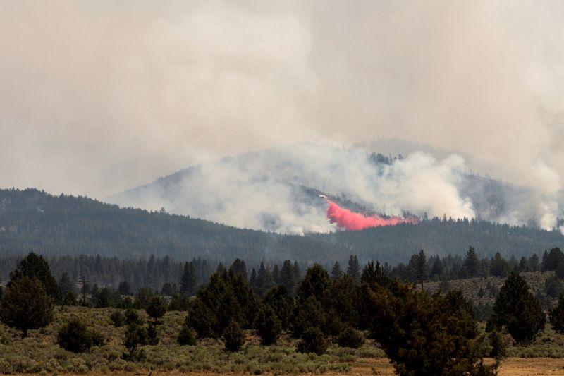 &copy; Reuters. 　米西部オレゴン州やカリフォルニア州などで発生している数十カ所の山火事は、突風や乾燥した高温の気候などで延焼範囲を拡大させている。当局が１８日、明らかにした。 １５日撮影