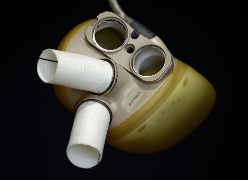 &copy; Reuters. La société française Carmat a annoncé lundi la première vente d'un coeur artificiel "Aeson" en Italie, qui ouvre selon elle la voie au développement commercial de l'entreprise. /Photo d'archives/REUTERS/Christian Hartmann