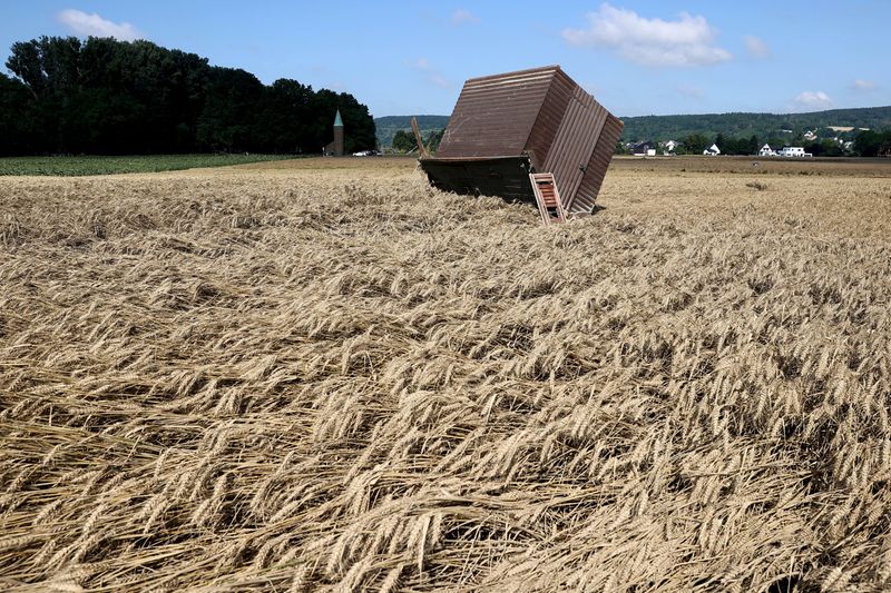 © Reuters. Campo de trigo após fortes chuvas na Alemanha. 
18/07/2021 
REUTERS/Wolfgang Rattay