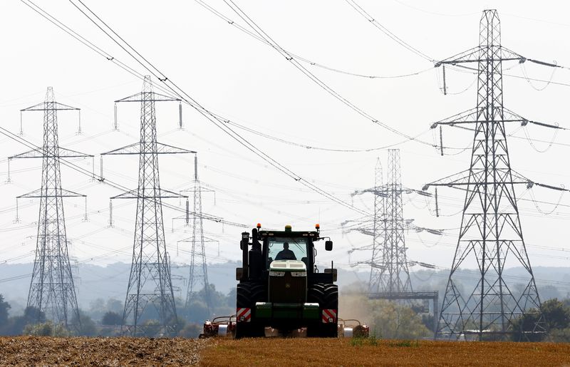 &copy; Reuters. FILE PHOTO: A farmer works in a field surrounded by electricity pylons in Ratcliffe-on-Soar, in central England, September 10, 2014.  REUTERS/Darren Staples 