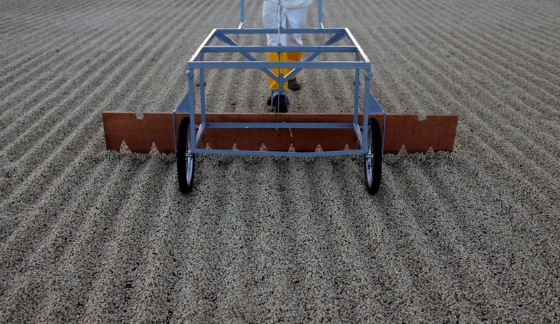 © Reuters. Produtor trabalhando com grãos de café em fazenda no Espírito Santo do Pinhal, Brasil. 
18/05/2012 
REUTERS/Nacho Doce 