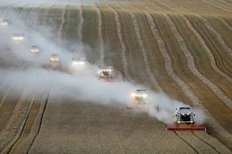 &copy; Reuters. FILE PHOTO: Combines harvest wheat in a field near the village of Suvorovskaya in Stavropol Region, Russia July 17, 2021. REUTERS/Eduard Korniyenko