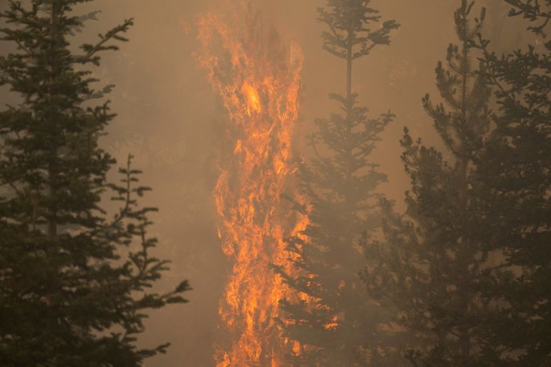&copy; Reuters. The Bootleg Fire burns through vegetation near Paisley, Oregon, U.S., July 20, 2021. REUTERS/David Ryder
