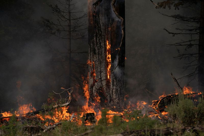 &copy; Reuters. FILE PHOTO: The Bootleg Fire burns through vegetation near Paisley, Oregon, U.S., July 20, 2021.  REUTERS/David Ryder