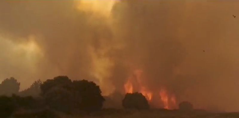 &copy; Reuters. L'Italie a demandé dimanche aux Etats européens de lui envoyer des avions de lutte contre les incendies pour l'aider à maîtriser des feux en Sardaigne qui ont déjà provoqué l'évacuation de centaines de personnes. /Image issue d'une vidéo diffusé