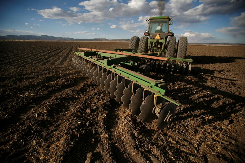 © Reuters. Trator ara hectare de terra em Ejido Benito Juárez, no Estado de Chihuahua, no norte do México 
29/02/2008 REUTERS/Tomas Bravo/Arquivo