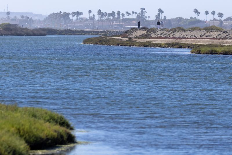 &copy; Reuters. The Bolsa Chica wetlands are shown in Huntington Beach, California, U.S., June 24, 2021. REUTERS/Mike Blake
