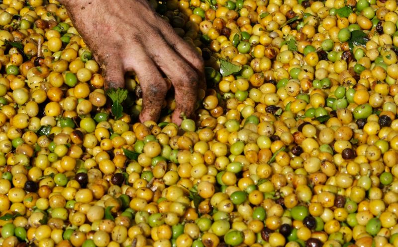 &copy; Reuters. Agricultor seleciona grãos de café arábica em Poços de Caldas (MG) 
04/07/2008
REUTERS/Paulo Whitaker 