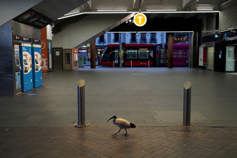 &copy; Reuters. FILE PHOTO: A lone bird walks past the quiet Circular Quay train station during a lockdown to curb the spread of a coronavirus disease (COVID-19) outbreak in Sydney, Australia, July 28, 2021.  REUTERS/Loren Elliott/File Photo