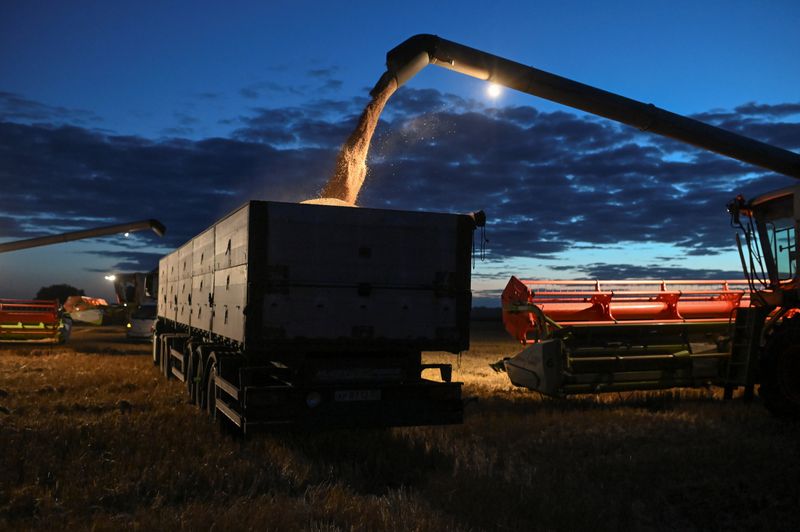 &copy; Reuters. Colheita de trigo na região de Omsk, Rússia 
16/09/2020
REUTERS/Alexey Malgavko