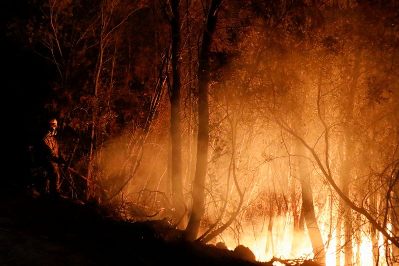 &copy; Reuters. رجل إطفاء يكافح حريق غابات في غرب اليونان في أول أغسطس آب 2021. تصوير: كوستاس بالتاس - رويترز.