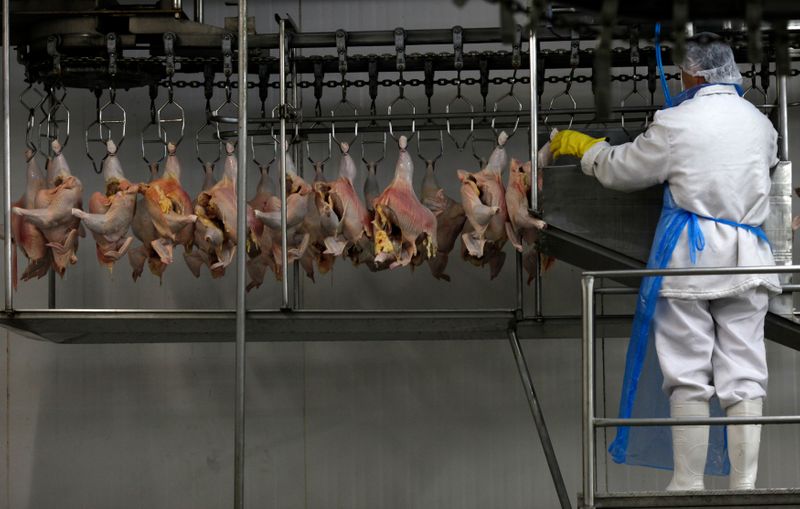 &copy; Reuters. Carne de frango em frigorífico em Itatinga (SP) 
04/10/2011
REUTERS/Paulo Whitaker 