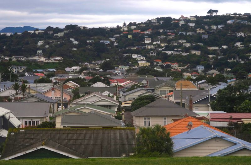 &copy; Reuters. Residential houses are seen in Wellington, New Zealand, July 1, 2017.   REUTERS/David Gray