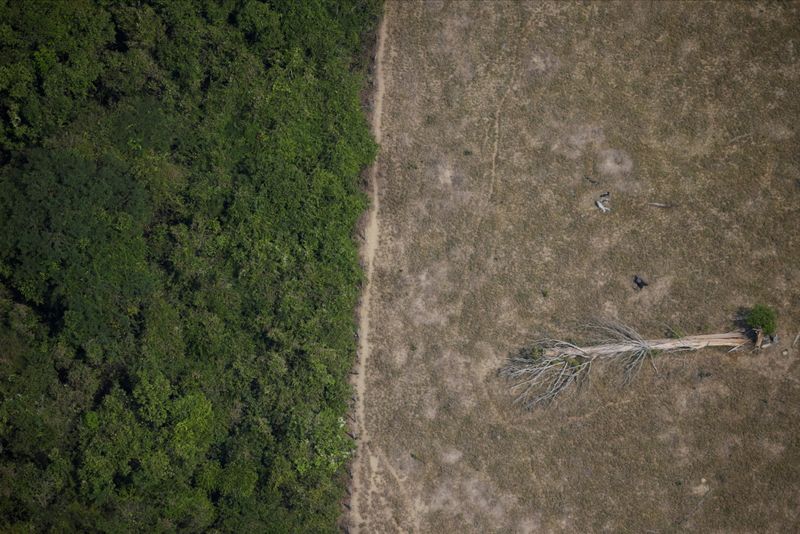 &copy; Reuters. Área desmatada da Amazônia perto de Porto Velho, em Rondônia
14/08/2020 
REUTERS/Ueslei Marcelino