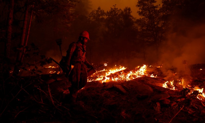 © Reuters. رجل اطفاء يحاول ابطاء انتشار النيران في ديكسي بشمال ولاية كاليفورنيا الأمريكية يوم الجمعة. تصوير:رويترز.