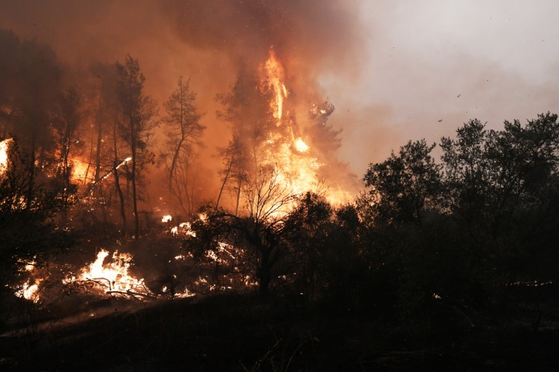 © Reuters. ألسنة اللهب تتصاعد  مع استمرار اشتعال حرائق الغابات في جزيرة إيفيا باليونان يوم الأحد. تصوير: رويترز.