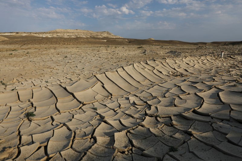 © Reuters. Sécheresse dans la région de Manguistaou, au Kazakhstan. Le Groupe d'experts intergouvernemental sur l'évolution du climat (Giec) a publié lundi son premier rapport sur le climat en huit ans, qui a lancé un avertissement sévère sur la progression du réchauffement climatique et la responsabilité 
