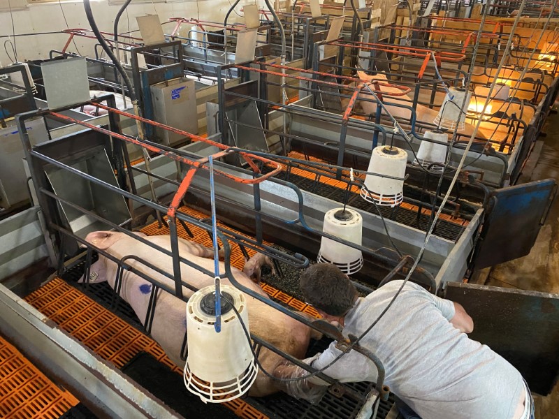 &copy; Reuters. Unidade de criação de suínos nos EUA
18/07/2020
REUTERS/Nick Carey