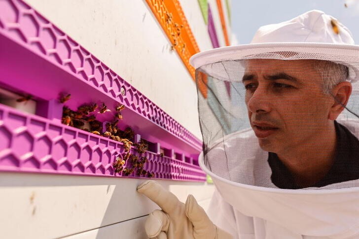 &copy; Reuters. Saar Safra, presidente ejecutivo de Beewise, observa los paneles robóticos desarrollados por su compañía para cuidar, alimentar y proteger abejas en Israel. Julio 29, 2021. REUTERS/Amir Cohen