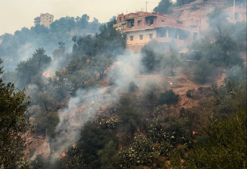 &copy; Reuters. الدخان يتصاعد من حرائق الغابات في الجزائر يوم الثلاثاء. تصوير - رويترز