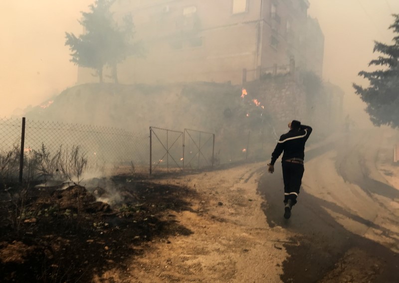 &copy; Reuters. أحد أفراد قوات الإطفاء وسط حرائق الغابات في الجزائر يوم الثلاثاء. رويترز