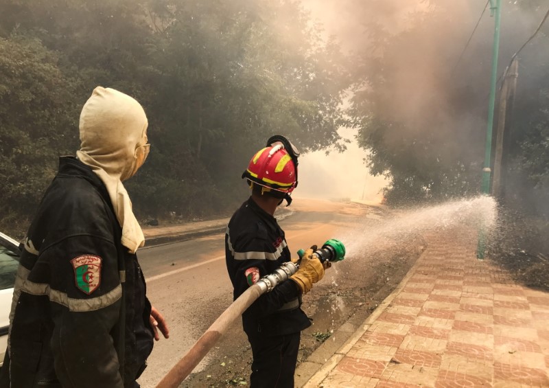 &copy; Reuters. رجل إطفاء يحاول إخماد حرائق الغابات بولاية تيزي وزو الجزائرية يوم الثلاثاء. تصوير: عبد العزيز بومزار - رويترز.