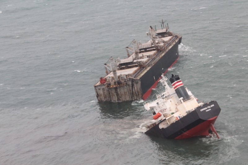 &copy; Reuters. السفينة "كريمسون بولاريس" التي كانت ترفع علم بنما بعد انشطارها بسبب جنوحها في ميناء هاتشينوهي بشمال اليابان واصطدامها بالأرض يوم الخميس. صو