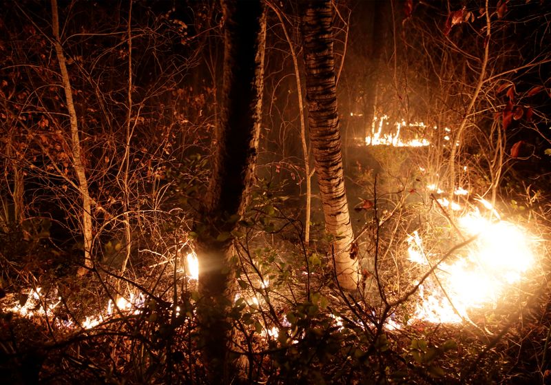 &copy; Reuters. IMAGEN DE ARCHIVO REFERENCIAL. El fuego consume parte del Área de Conservación Ecológica Ñembi Guasu, en el territorio autónomo de Charagua, Bolivia, Agosto 29, 2019. REUTERS/David Mercado