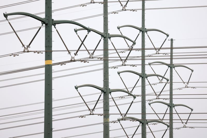 &copy; Reuters. Linhas de transmissão de energia
REUTERS/Mike Blake