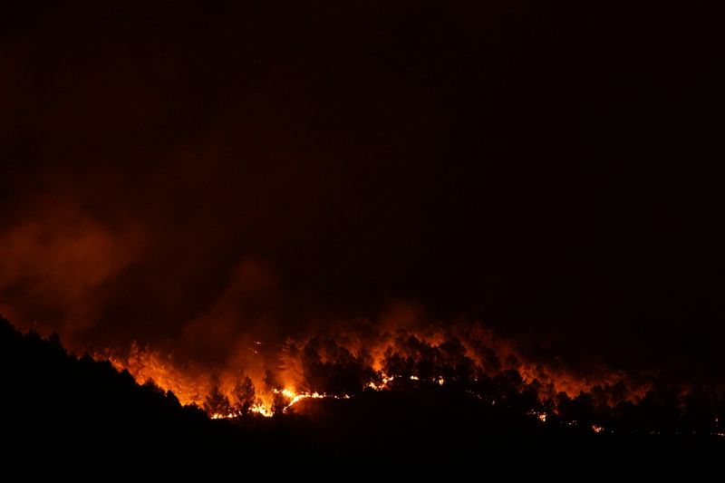 &copy; Reuters. حرائق غابات مشتعلة في جزيرة صقلية الإيطالية يوم 11 أغسطس آب 2021. صورة لرويترز.