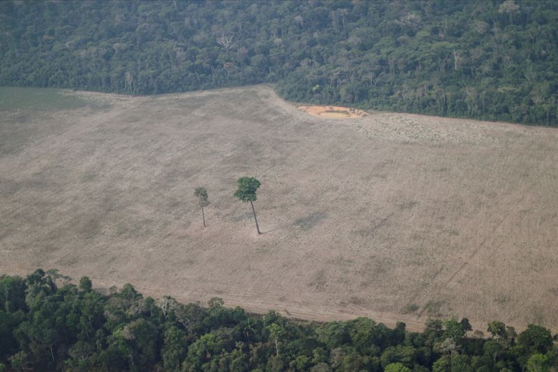 &copy; Reuters. Vista aérea de área desmatada da Amazônia perto de Porto Velho, em Rondônia
14/08/2020 REUTERS/Ueslei Marcelino