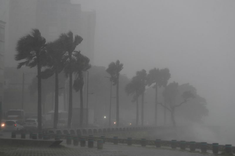 &copy; Reuters. FILE PHOTO: Palm trees sway in the wind and rain during the passage of Tropical Storm Fred in Santo Domingo, Dominican Republic August 11, 2021. REUTERS/Ricardo Rojas