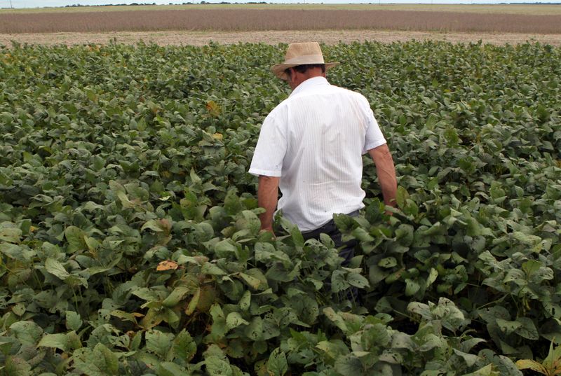 © Reuters. Agricultor em meio a lavoura de soja em Primavera do Leste (MT) 
07/01/2013
REUTERS/Paulo Whitaker 