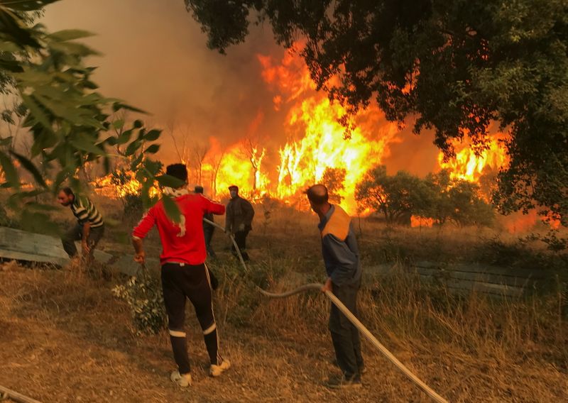&copy; Reuters. قرويون يشاركون في جهود إطفاء حرائق الغابات بالجزائر يوم 11 أغسطس آب 2021. رويترز