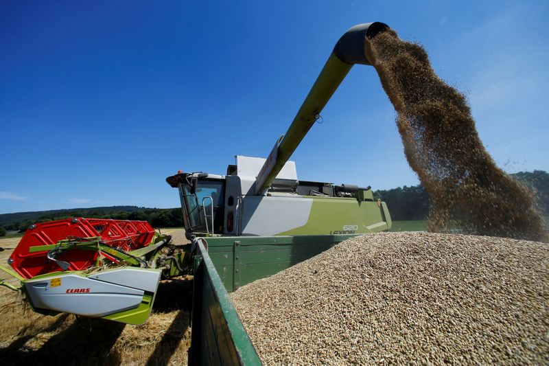 © Reuters. Colheita de trigo em Usingen, Alemanha 
06/08/2018
REUTERS/Ralph Orlowski