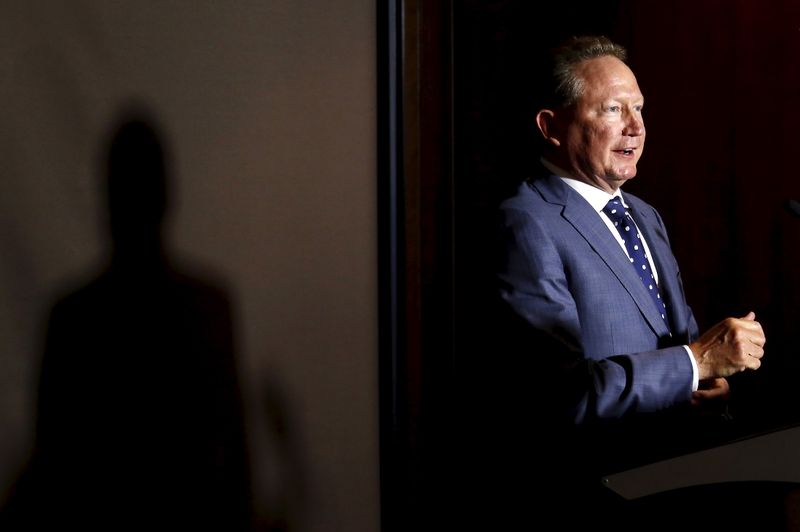 &copy; Reuters. FILE PHOTO: Andrew Forrest, chairman of Fortescue Metals Group, speaks during a media conference in Sydney, Australia, July 28, 2015.  REUTERS/David Gray