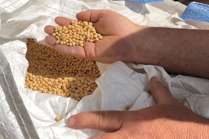 &copy; Reuters. Agricultor segurando grãos de soja em Wilton, Iowa, nos Estados Unidos. 
22/05/2019 
REUTERS/Kia Johnson