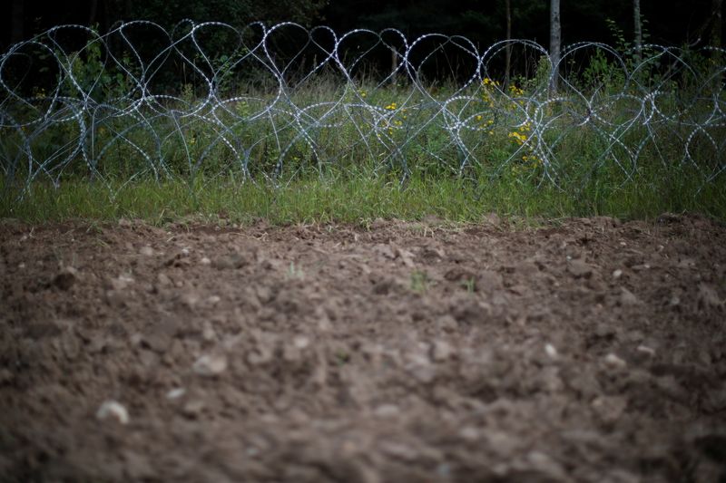 &copy; Reuters. Les barbelés à la frontière entre la Pologne et la Biélorussie près du village d'Usnarz Gorny, en Pologne. La Cour européenne des droits de l'homme (CEDH) a demandé mercredi aux gouvernements de Pologne et de Lettonie d'intervenir pour aider les mi