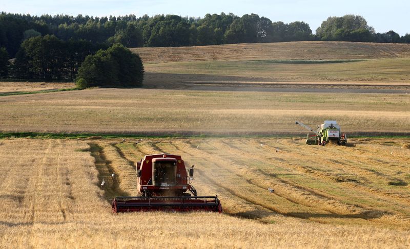 &copy; Reuters. Colheitadeiras de grãos trabalham em um campo perto da vila de Zagorie, Belarus
07/08/2017
REUTERS/Vasily Fedosenko