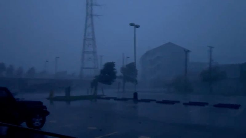 &copy; Reuters. أشجار تتمايل وسط هطول أمطار غزيرة خلال الإعصار إيدا لدى وصوله إلى نيو أورليانز في لويزيانا وهو عاصفة من الدرجة الرابعة يوم الأحد في صورة حصل