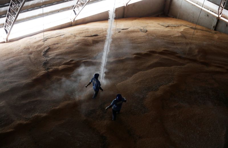 &copy; Reuters. Armazém com milho após colheita da segunda safra em Sorriso (MT) 
26/07/2017
REUTERS/Nacho Doce