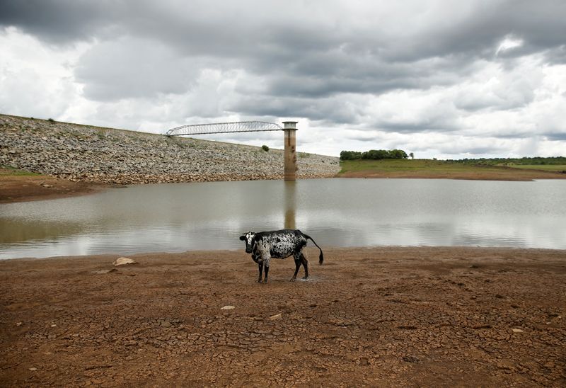 &copy; Reuters. 国連の世界気象機関（ＷＭＯ）は１日、災害被害などに関するリポートを発表し、洪水や熱波など災害が過去５０年間で５倍に増加したと明らかにした。写真はジンバブエのブラワヨで撮影