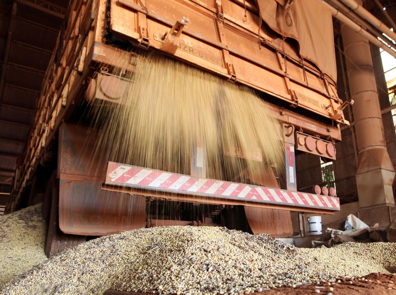 &copy; Reuters. FILE PHOTO: Soybean is unloaded from a truck at the Alvorada agricultural industry in the city of Primavera do Leste in the central Brazilian state of Mato Grosso February 6, 2013.  REUTERS/Paulo Whitaker/File Photo