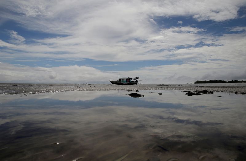 © Reuters. Vista do rio Calçoene, no Amapá 
06/04/2017
REUTERS/Ricardo Moraes